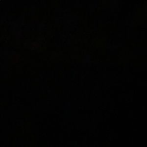 Meet your Posher, Noah